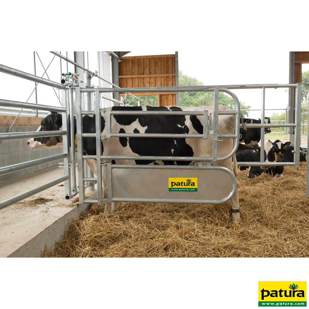 Abtrennung für Tierbehandlung Stalleinrichtung