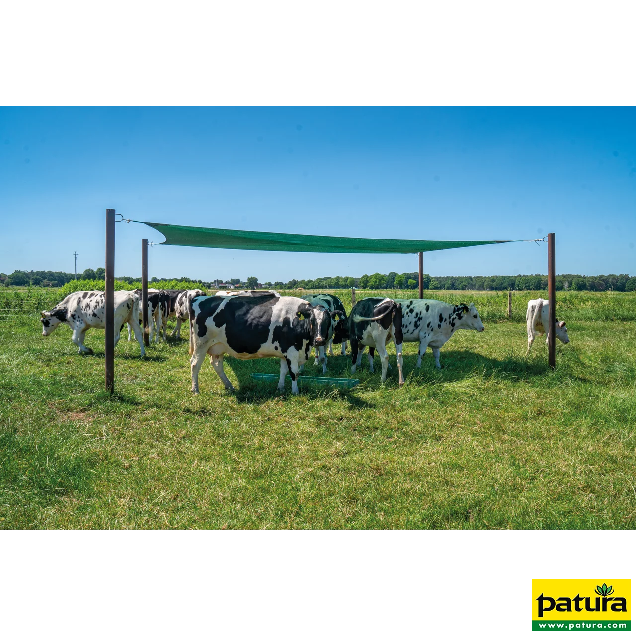 Beschattungsnetz 4,5 x 4,0 m Spezialnetz M75 grün Windschutznetze